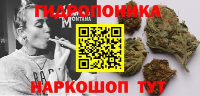 jwh Волгодонск